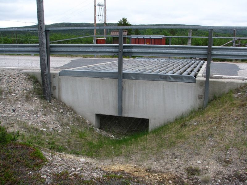 Border-bridge, Näätämö