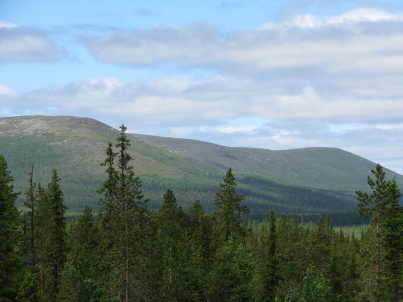 Pallas- and Yllästunturi's 
national park 
