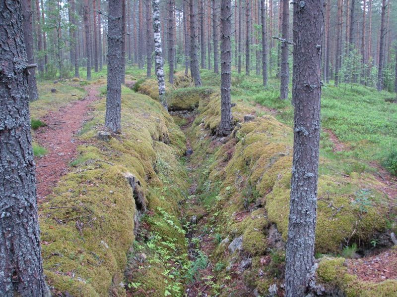Military history, 
Saunajärvi-kannas 