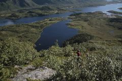 Near Urda, 
Nordland, Norway