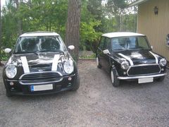 Sepi's MINI & Mini