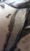 post-740-1384803639455_thumb.jpg