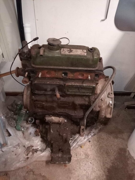 WhatsApp Image 2023-08-04 at 12.57.49.jpeg